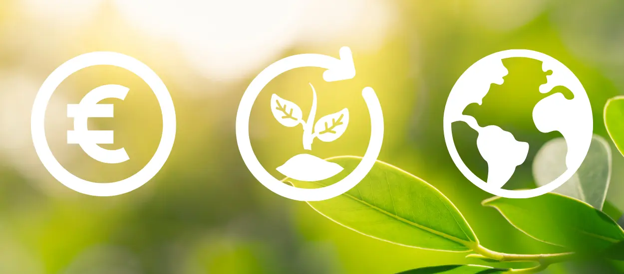 Header formaat Website