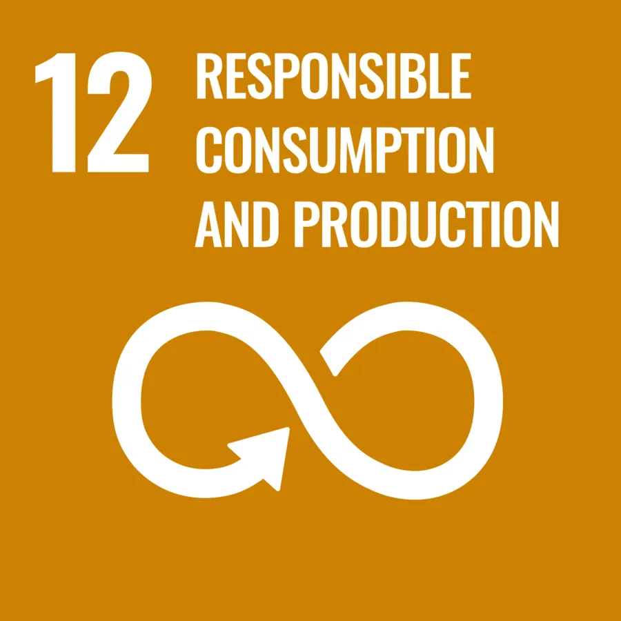 Goal 12 Responsible consumption and production