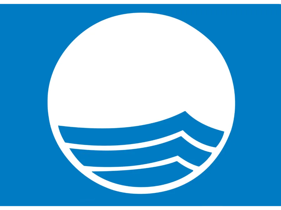 Blauwe Vlag logo