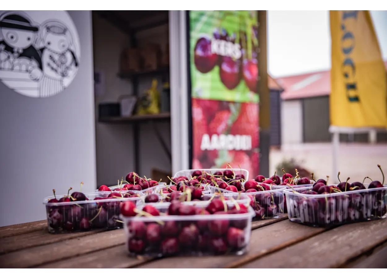 01 KBCE36 NH20 EM3 D8 JK6 KEP8 AK