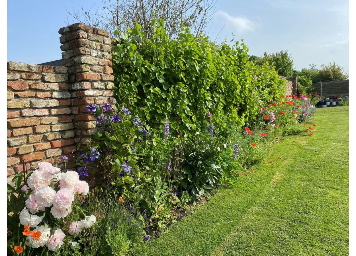 01 KFJVP8 XZEJR8 PEBTWW5 VVVPA