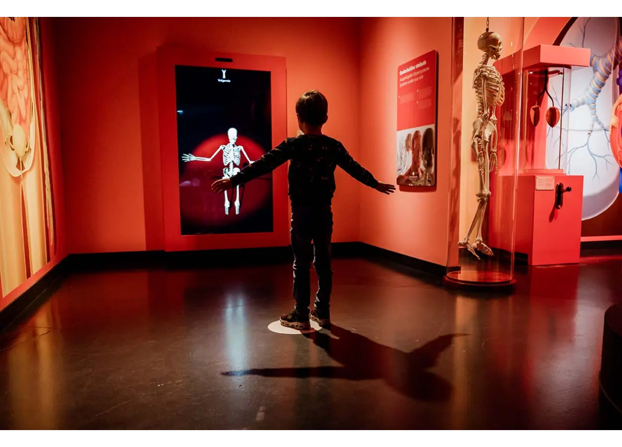 01 KJSGXSEHDBJJ6 JP4 R5 C2 RB74