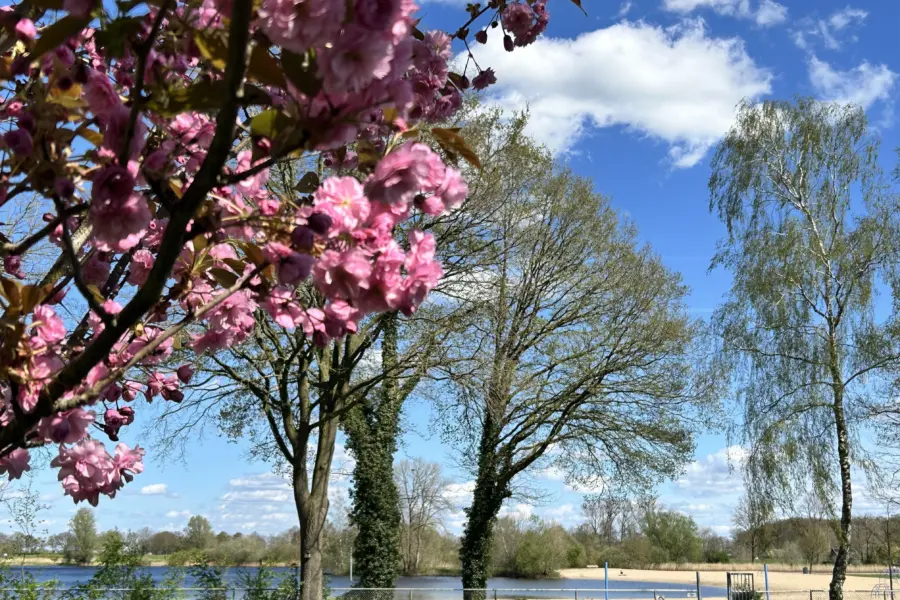 01 KKKBNXRJ4 GGS0 Z9 KXGC2 A1 HK