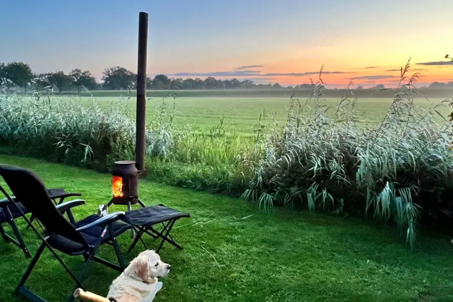 01 KBFPPN5 X38 KKC36768 GBW07 Q