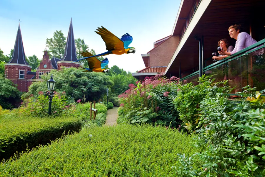 01 KG9 N17 YRHGT5 FCD7 BJ4 QHEMB