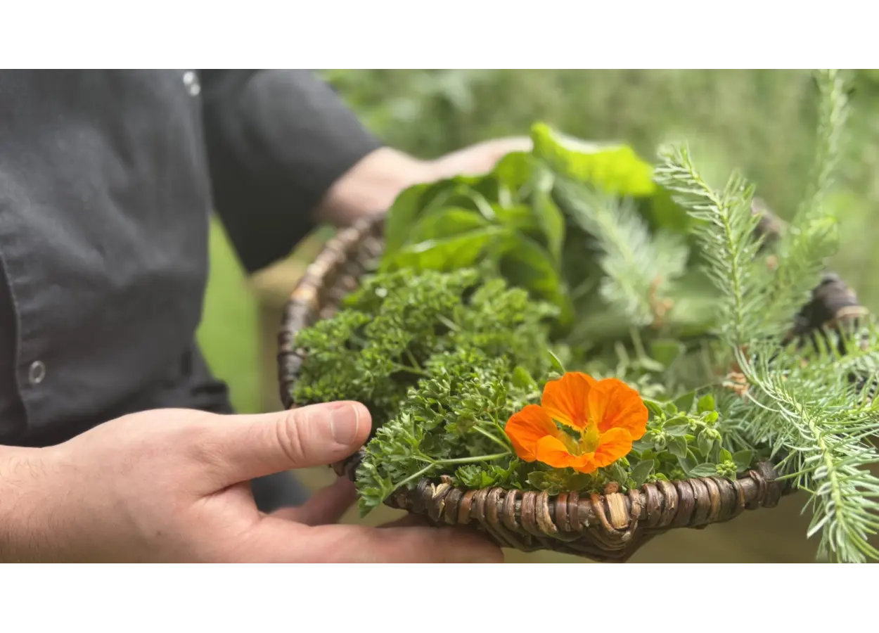 01 KBQADH2 YPYM6 N08 XARWEKXW4