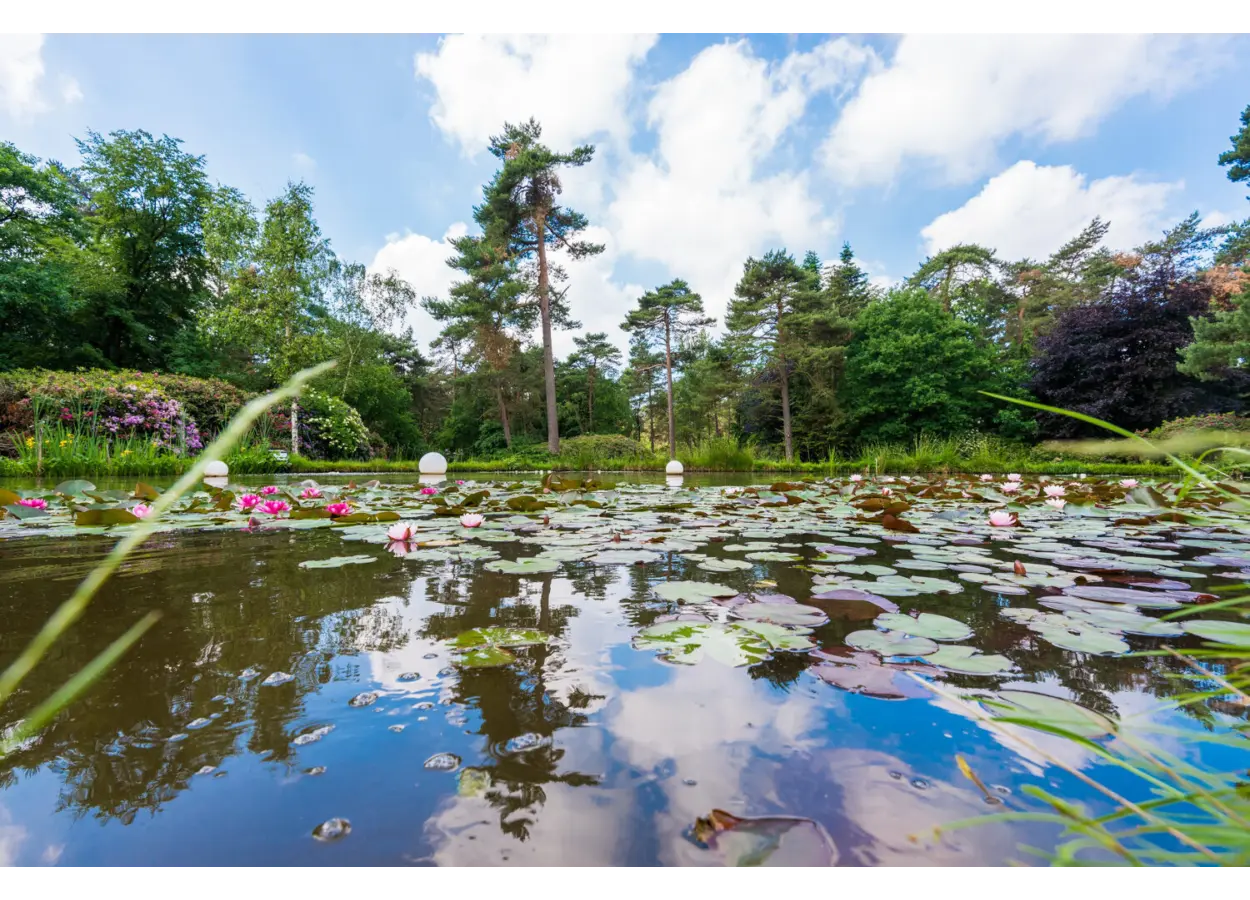 01 KB06511 XE48 SB6 NZB403 G3 AZ